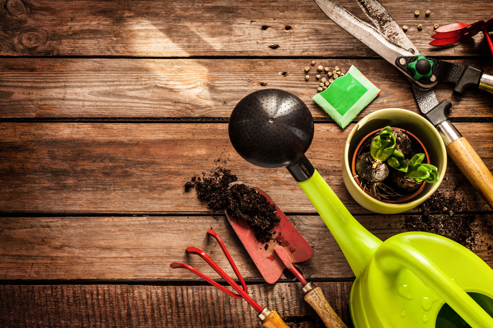 Different types of gardens to know about