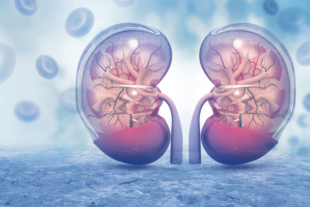 Major causes of renal cancer and its symptoms
